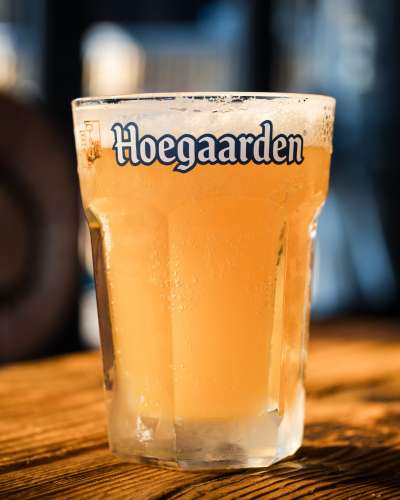 517583412_1072404451749216_4265543538140508703_n